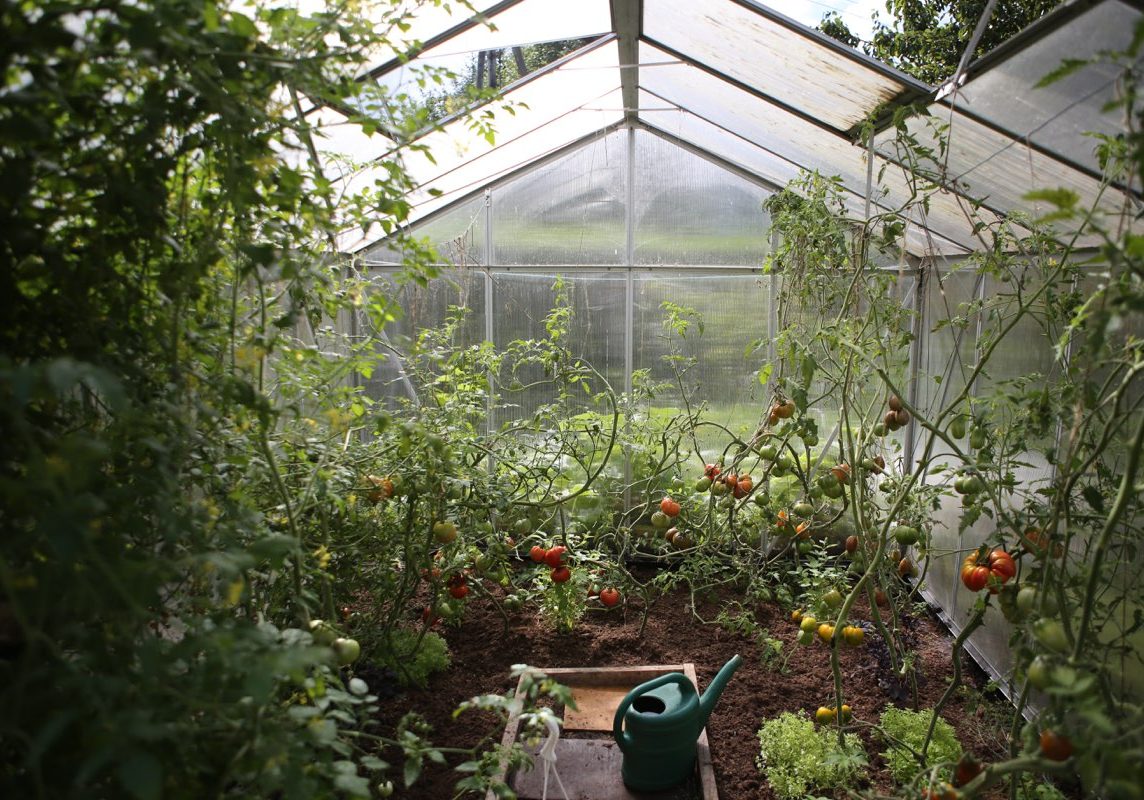 greenhouse