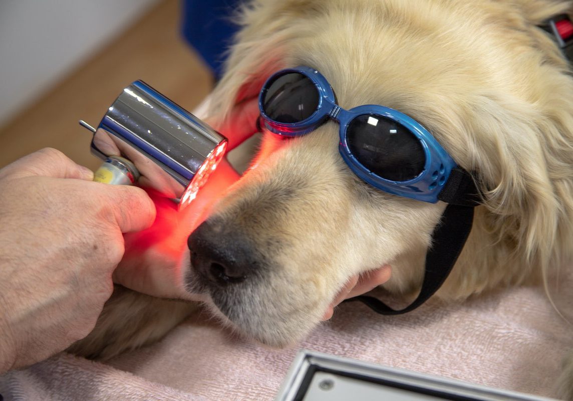 laser-therapy